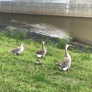 Meet your Posher, Florence